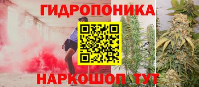 винт Можга