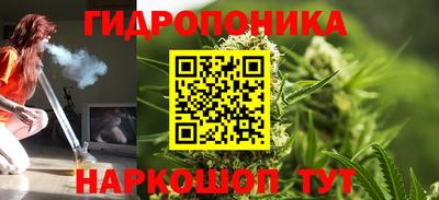 винт Можга